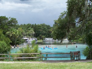 Silver Glen Springs - Family Fun