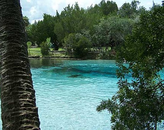 Boat Rentals Astor Florida Castaways On The River