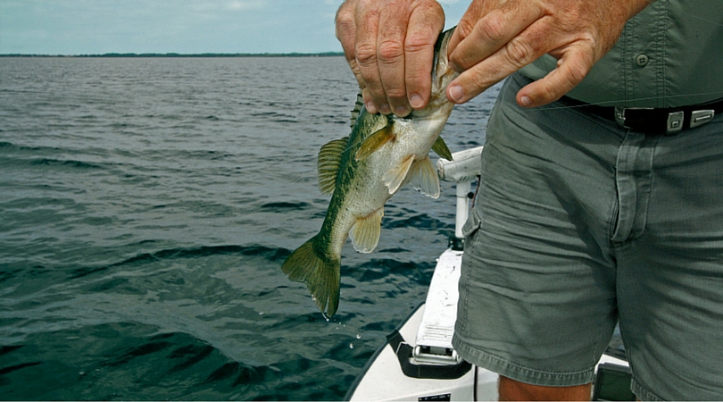 10 Best Fl Fishing Guides -Top Florida Bass Fishing Charters