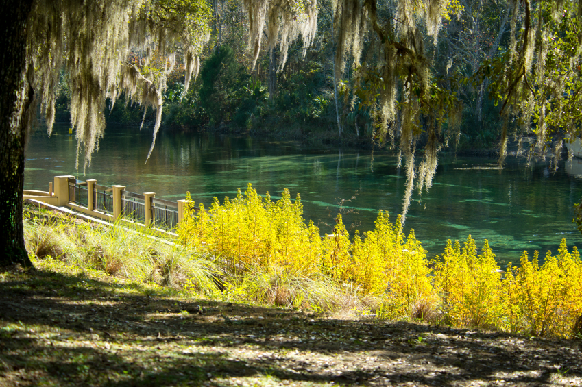 Florida Springs off the St. Johns River