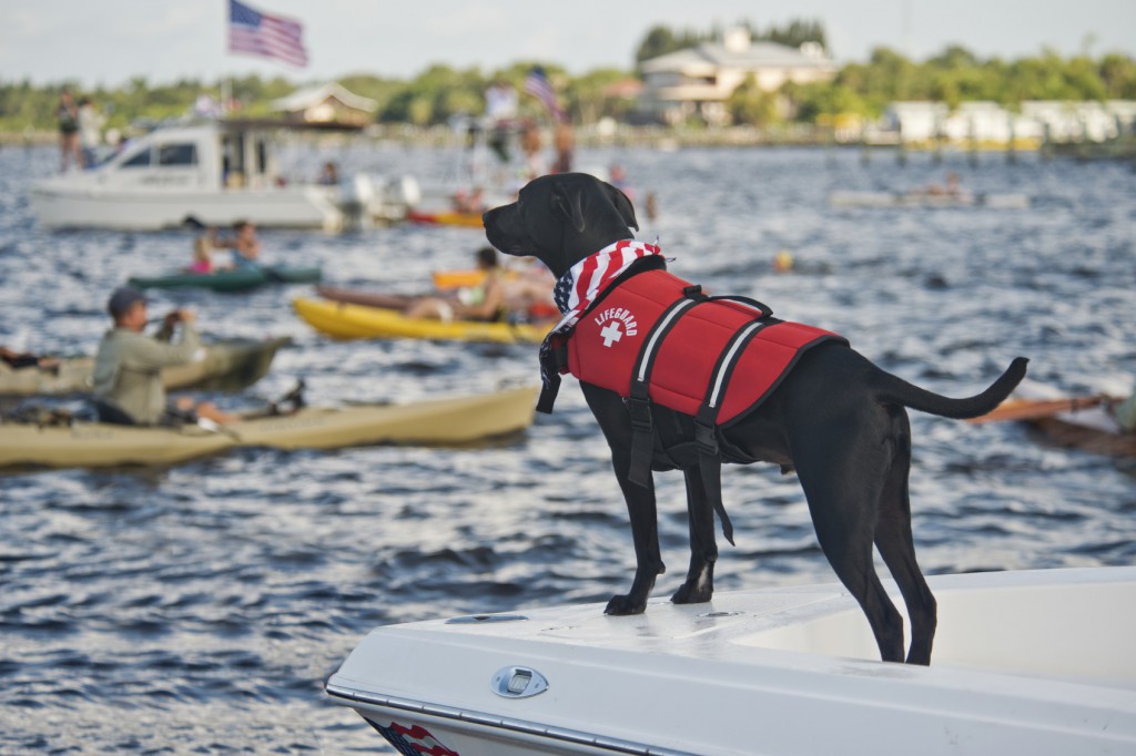 Fishing Buddy Dog Tee