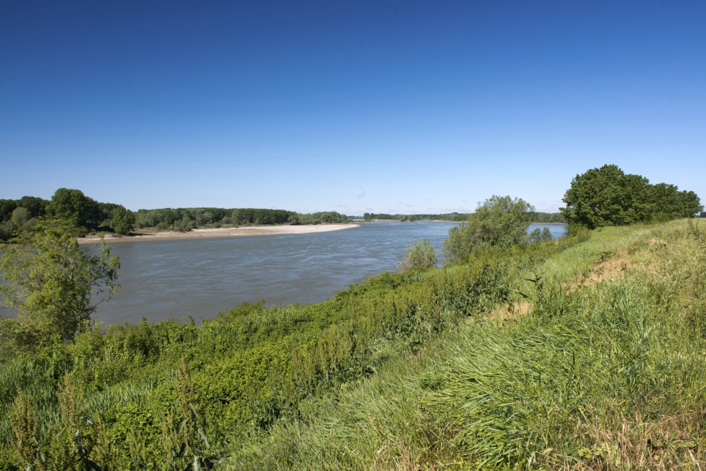 summer season on the river