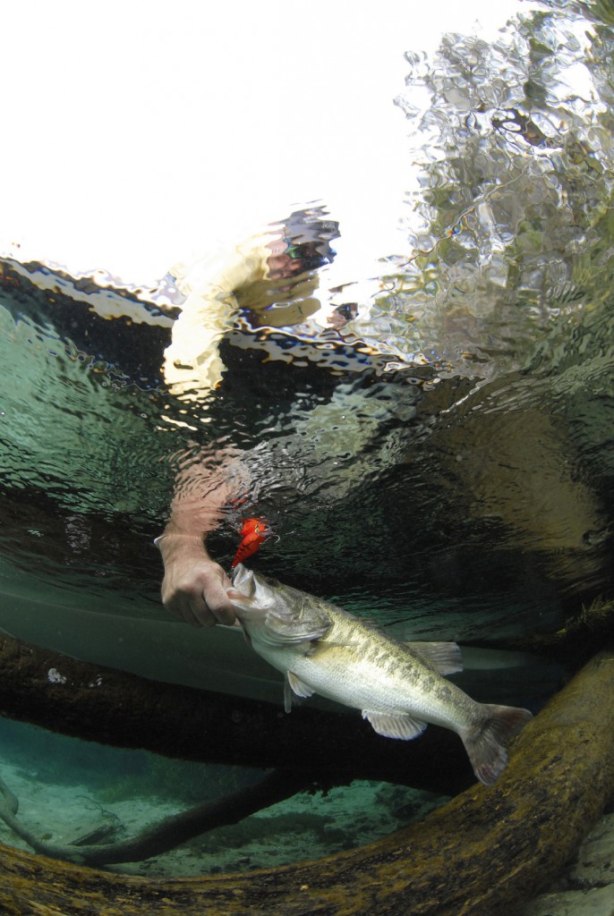 man catching bass