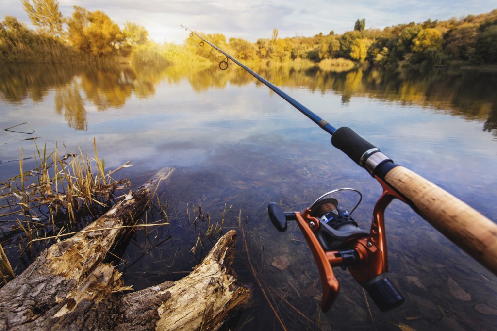 summer fishing on the river