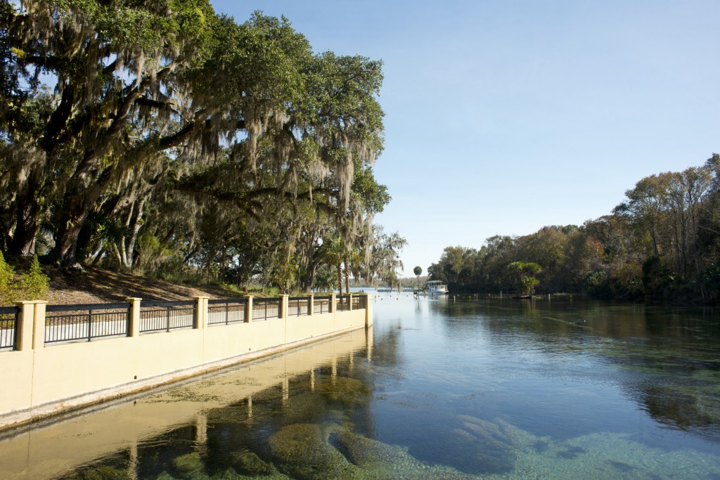 Salt Springs near the St. Johns River