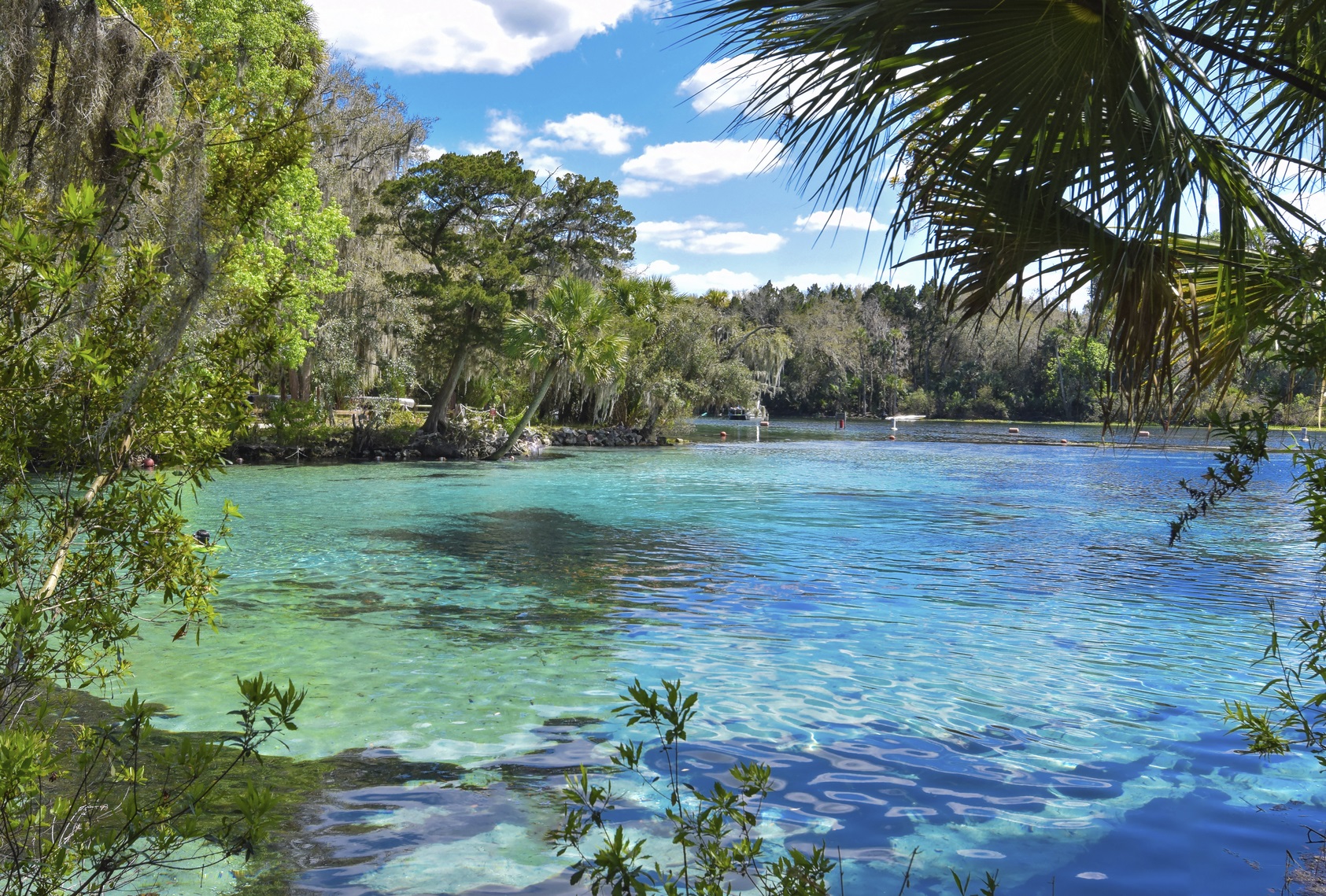 spring near St. Johns River