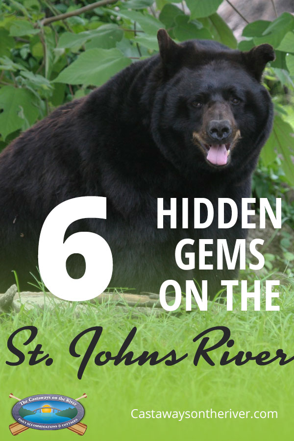 hidden gems pinterest pin