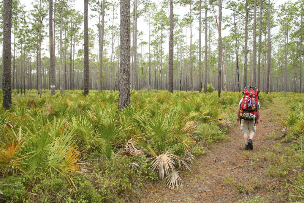 hiking the Florida National Scenic Trail 