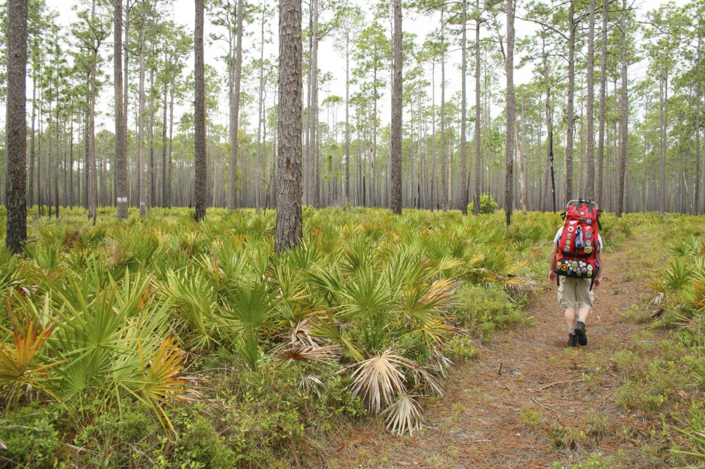 Hiking the Florida National Scenic Trail