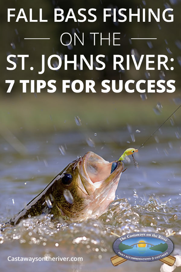 fall bass fishing tips 