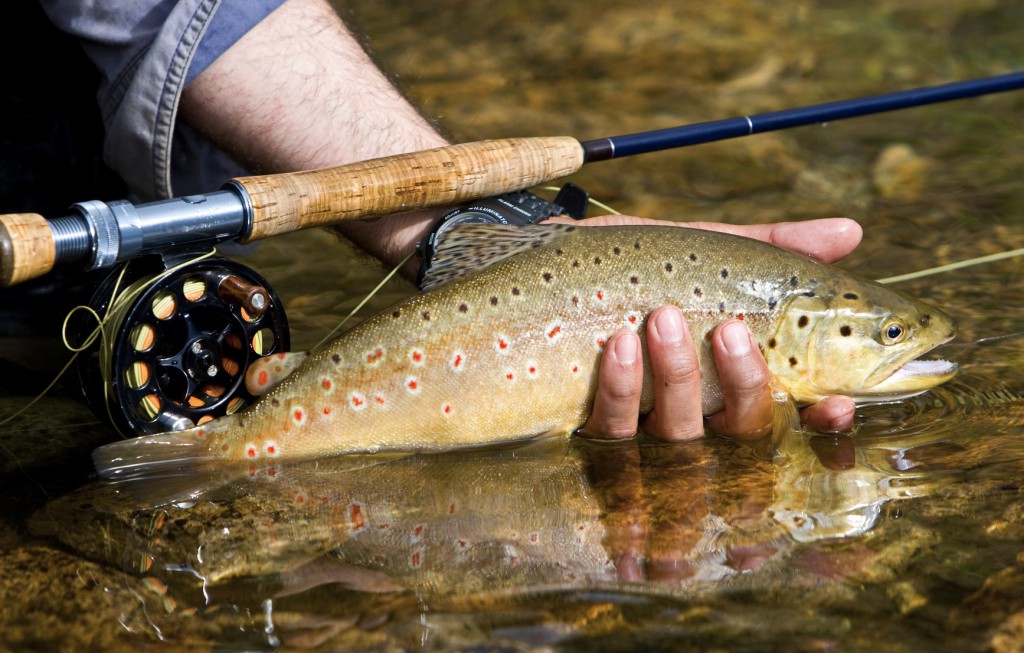 man trout fishing in Florida 