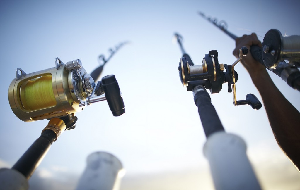 company fishing trip rods and reels