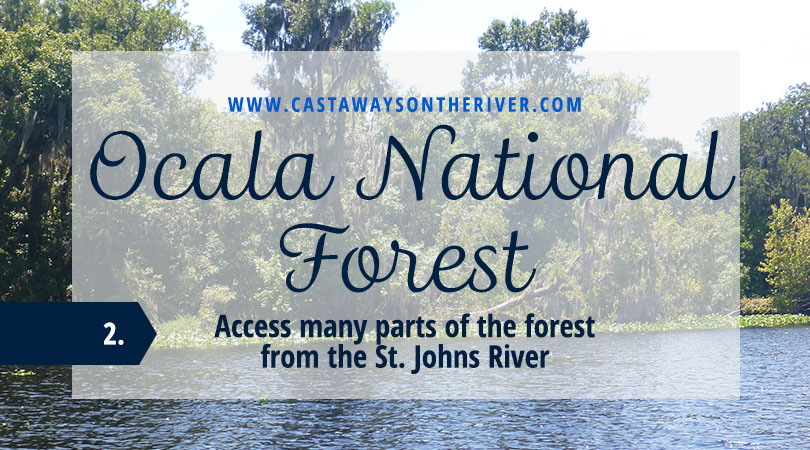 ocala national forest