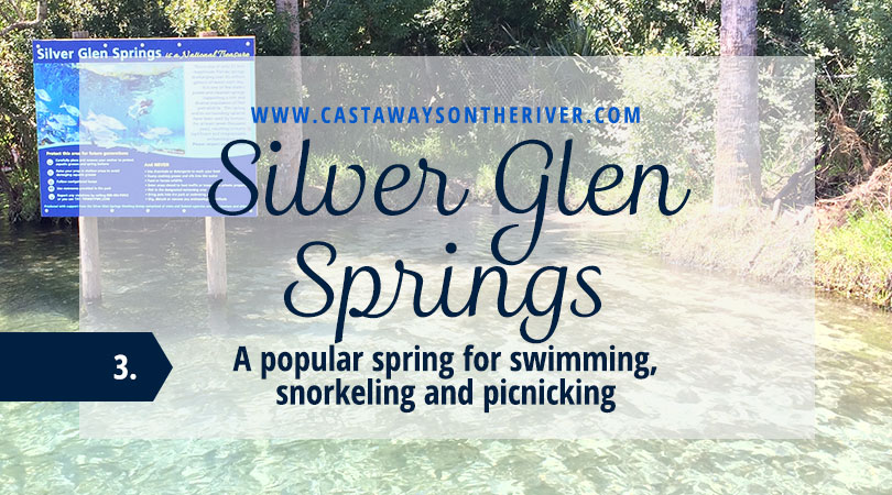 silver glen springs
