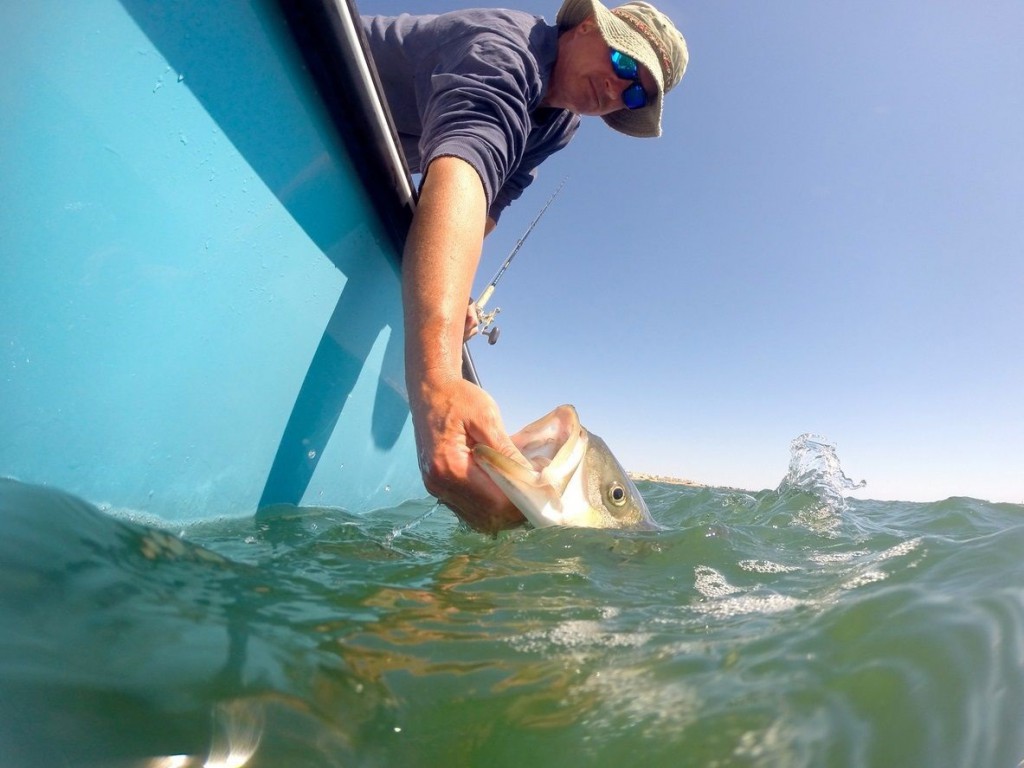 st johns river bass fishing