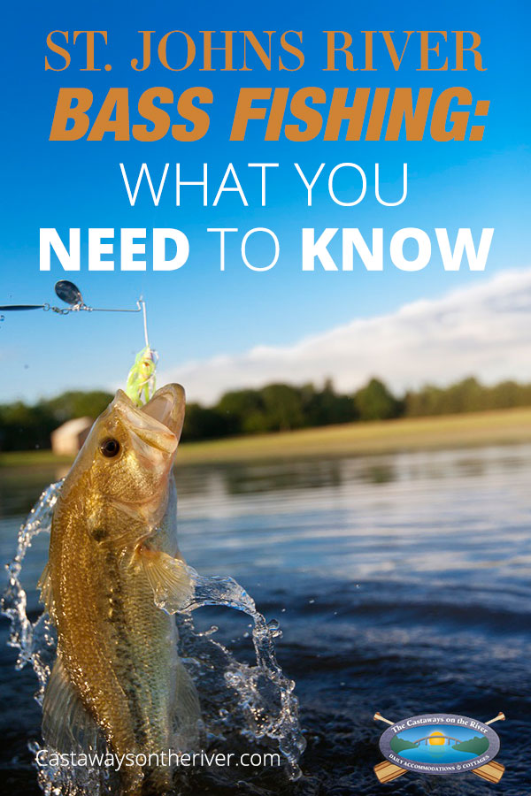 St. Johns River Bass Fishing: What You Need to Know