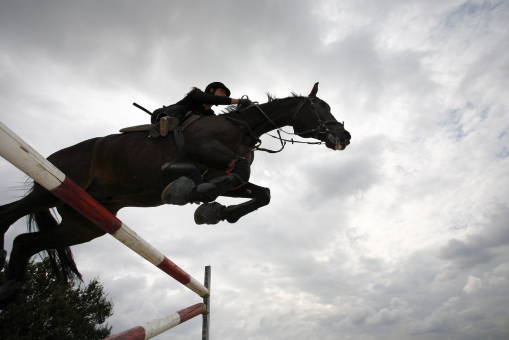 attractions astor, florida horse jumping