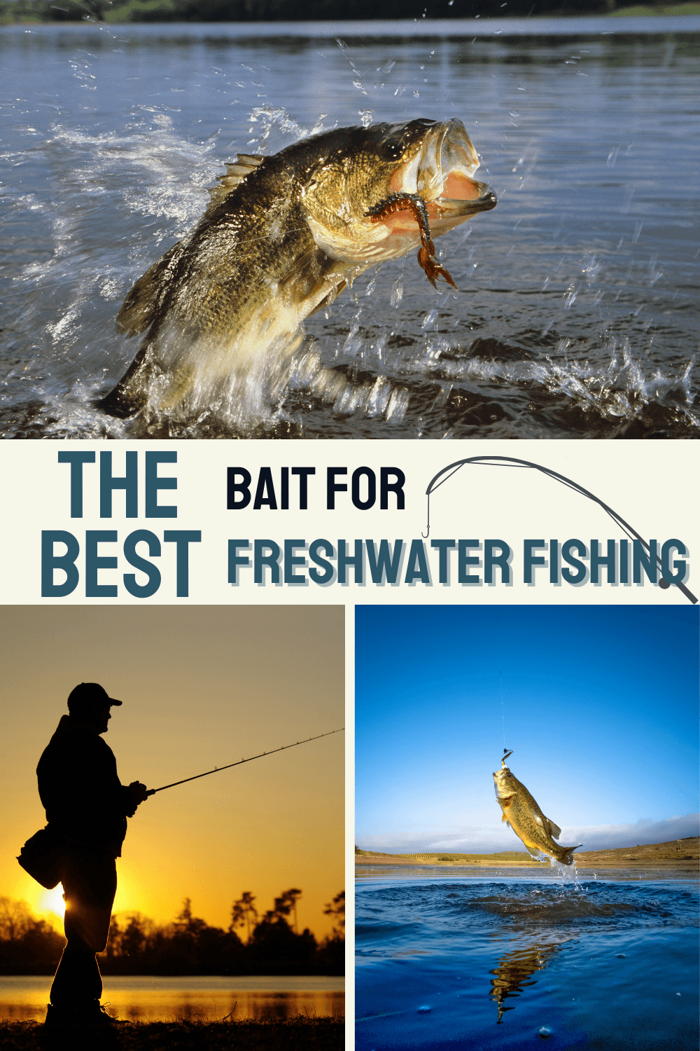 Read about the best bait for freshwater fishing!